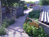 WP_001733.webp