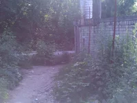 WP_001736.webp