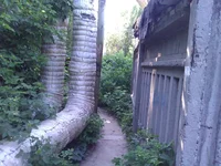 WP_001737.webp