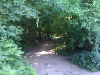 WP_001738.webp