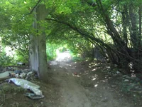 WP_001740.webp