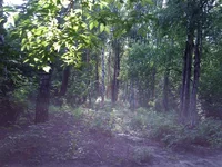 WP_001741.webp