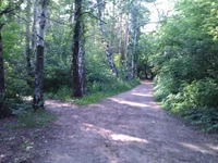WP_001742.webp