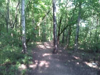 WP_001743.webp