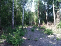 WP_001747.webp
