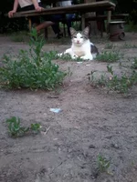 0024.webp