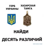 3380098.webp