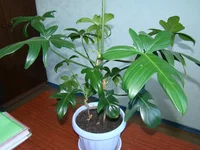 2012_06_69.webp