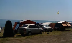 IMAG0300.webp