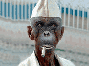 manki.gif