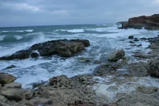 IMG_6408.JPG