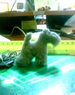 IMG0142A.webp