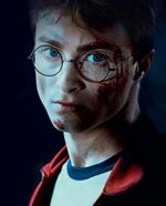 harry_hd-scarpotter.jpg