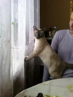 200901311158_00021.webp
