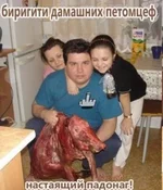 .webp