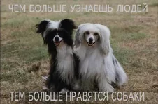 16.webp