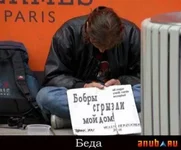 41645.webp