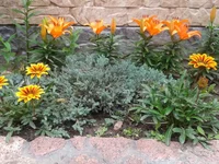 20130611_114637.webp