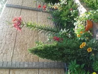 20130628_151309.webp