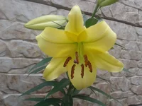 2012-07-13 12.37.34.webp