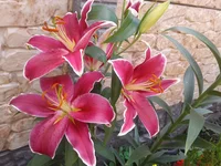 2012-07-28 13.53.06.webp