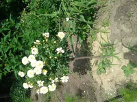 20130529_104401.webp