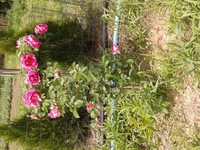 20130523_115113.webp