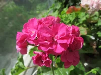 crop_85807698_vKcy.webp