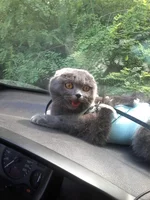 20140608_152515.webp
