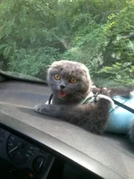 20140608_152518.webp