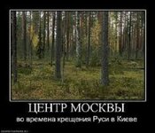 1597142_original.jpg