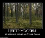 1597142_original.jpg