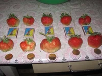  клубника 04.06.14 001_640x480.webp