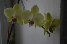 _DSC0304.webp