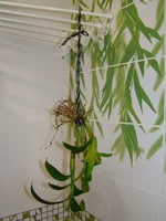 2014_06_28.webp