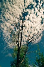 DSC_0358.webp