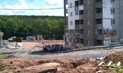 IMAG0824.webp