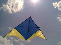 09062014(026).webp