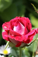 IMG_0997.webp