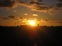 y_57bf73d3.webp