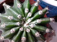 2014-06-21 12.47.13.webp