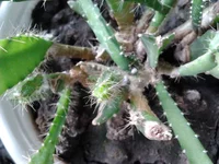 2014-06-21 12.47.30.webp