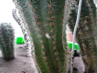 2014-06-21 12.48.06.webp