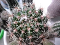 2014-06-21 12.48.20.webp