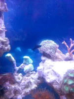 IMG_20140621_203300.webp
