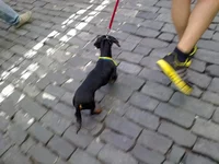 22062014943.webp