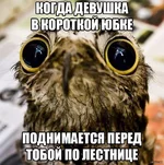 1400748893_1200878656.webp