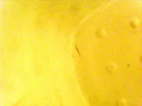 2012-09.webp