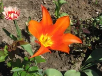 IMG_3397.webp