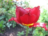IMG_3413.webp
